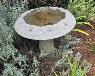 Bird Bath