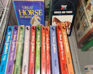 Assorted Black Stallion book collection 