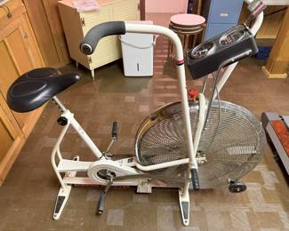 Airdyne bike