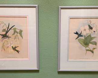 Pair of John Gould Hummingbird and Floral Prints