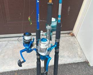 Fishing rods and reels set