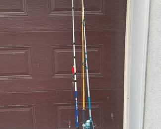 Fishing Rods and Reels Set