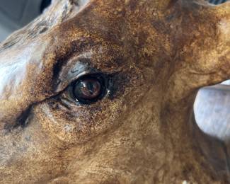 FAB Hand painted realistic plaster elk