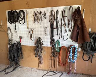 Horse tack from the many Victoria Trail Rides