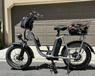 Rad Powerbikes E-bike