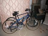 Dynamo & Palesad Bikes