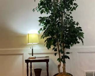 Ficus Home Accents