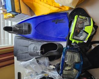 snorkeling gear