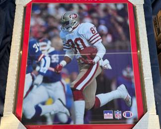 Jerry Rice 16x20 Gold Framed San Francisco 49ers Photo