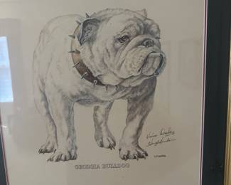 Framed print of Georgia Bulldog