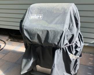 Weber grill