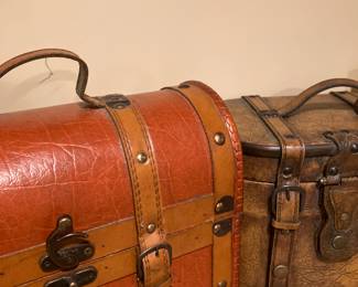Wine carriers