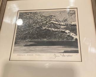 Jim Foster signed original Branch Brook Park
