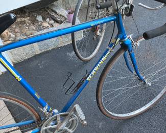 Schwinn bike