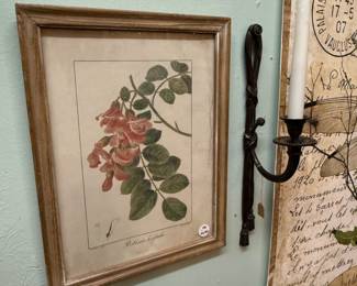 framed botanical print