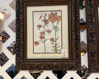 Framed floral prints