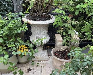 Italian and French cast iron and terra cotta planters