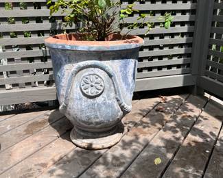 Campania terra cotta planter, white dawn climbing rose plant optional. 24"H. Pick up Chevy Chase, MD.