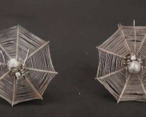 Qing Dynasty (undocumented) spider hair pins