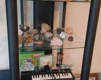 Modern Black Glass Display Shelf – 5-Tier Curio Cabinet for Collectibles