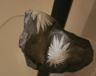 Stibnite Crystal Spray in Matrix Natural Mineral Specimen