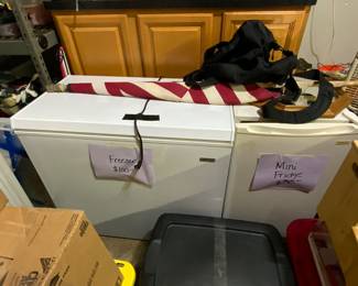Freezer and mini fridge