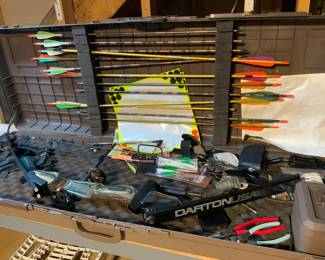 Bow with case and arrows