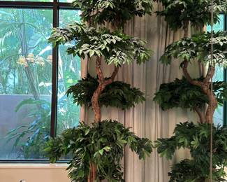 silk tree