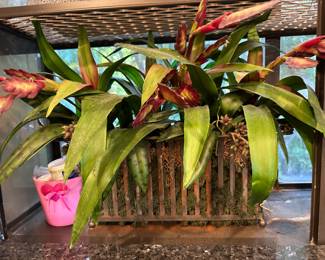 silk plant arrangement