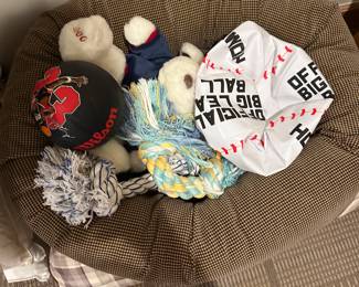 dog items and sleeping bed