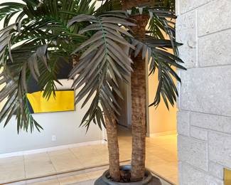 large silk palm tree