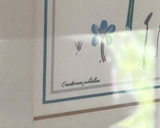 Botanical Prints by Anda "Andy" Tanaka 