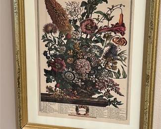 Pair of Botanical Prints 