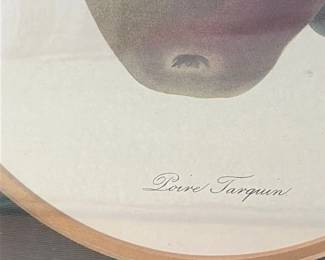 Poire Tarquin Pear Lithograph 