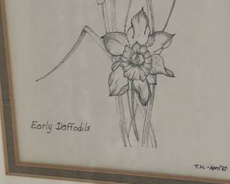 Pencil Drawing of Daffodils 