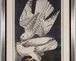 John James Audobon   Iceland or Jer Falcon engraving originally from "The Birds of America" is the single greatest ornithological work ever produced and is the realization of Audubon's dream of traveling throughout the United States recording, natural size, every native bird then known. The 435 double-elephant folio sized plates, printed by the Havells of London, depict some 1,065 different species, the majority drawn from specimens that Audubon himself had captured. The Havell edition was expensive at the time of publication and this has not changed. A complete copy sold for a staggering $11,400,000 in a sale in London in December 2010. 