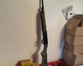 Pellet Gun