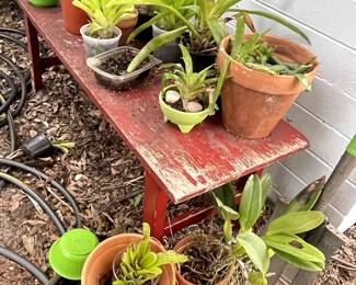 Potted plants 