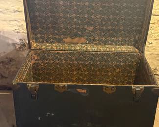 Nice big trunk