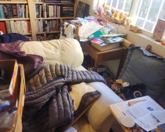 This is a very rough sketch of what our team is cleaning out for you. It's messy now, but we're preparing it for you!