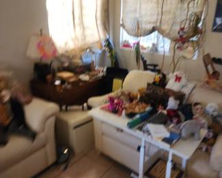 This is a very rough sketch of what our team is cleaning out for you. It's messy now, but we're preparing it for you!