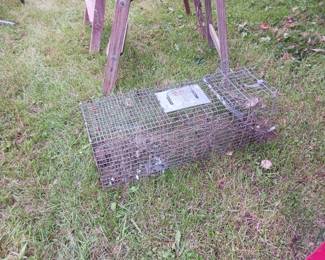 Live animal trap