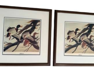Two 19 x 19 Framed Mallard Prints By John A. Ruthven