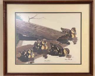 25.5 x 21.5 Framed 1976 Baby Mallard Art Print by Gene Gray Signed Numbered