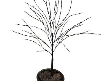 Decorative Lighted Tree w Ceramic Planter Pot