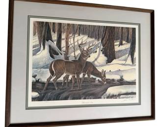 30 x 24 Framed Whitetailed Deer Print By John A. Ruthven Signed Numbered