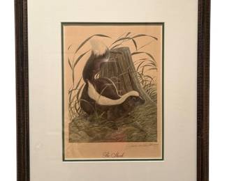 19 x 16 Framed The Skunk Art Print by John A. Ruthven Signed