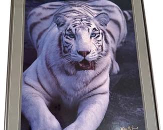 18 x 24 Framed Maharajahs Pride Kishnapur Tiger Print By Kjell B. Sandved signed