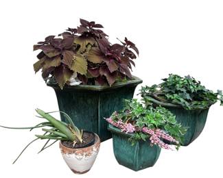 Turquoise Gardening Pots w Real Faux Plants
