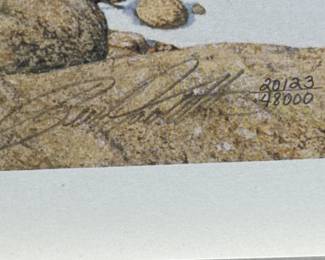 BEV DOOLITTLE SIGNATURE